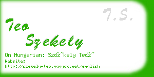 teo szekely business card